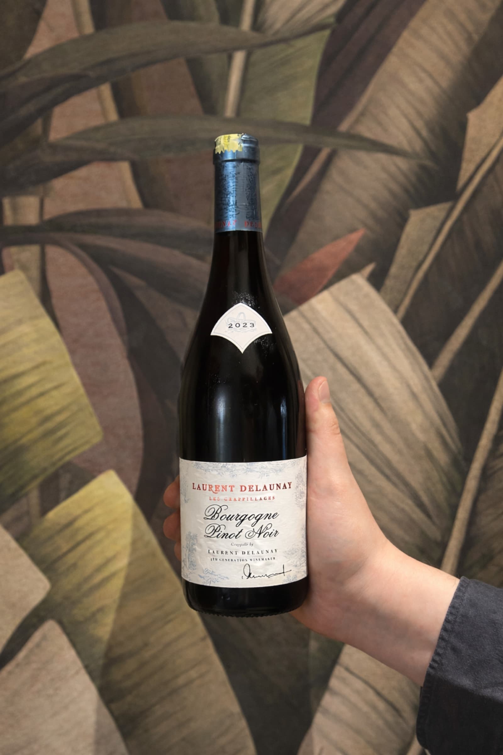 A hand holding up a bottle of red wine against botanical wallpaper at Somaha